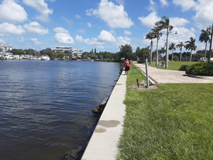 old bridge seawall fishing in palmetto, florida